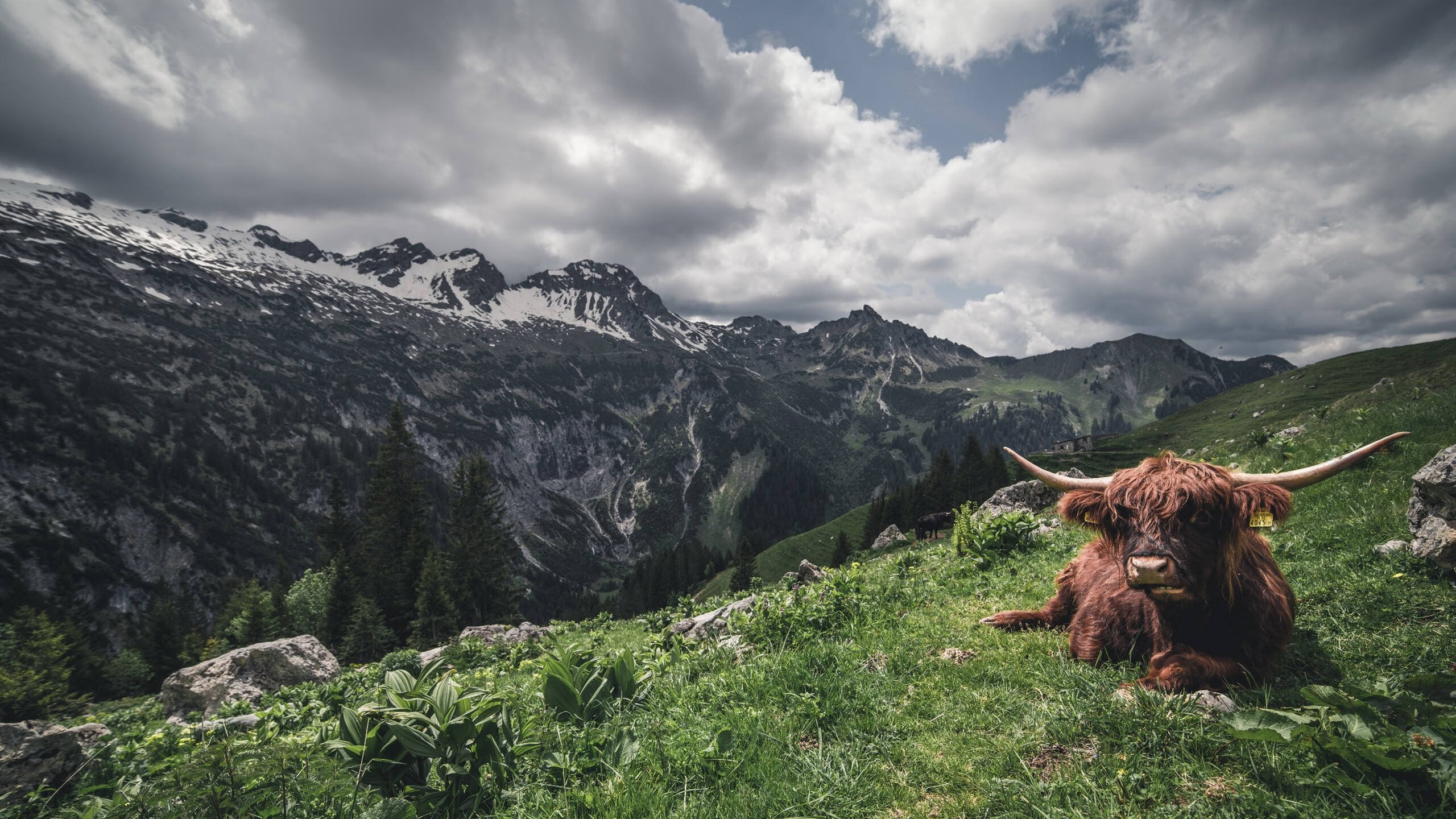 萨拉赫爆发点燃英超激情，切尔西欧战客场突围玻利维亚