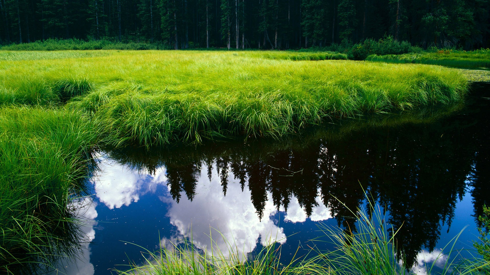 年度焦点之战之夜，梅西进攻端无人可挡的传奇史诗
