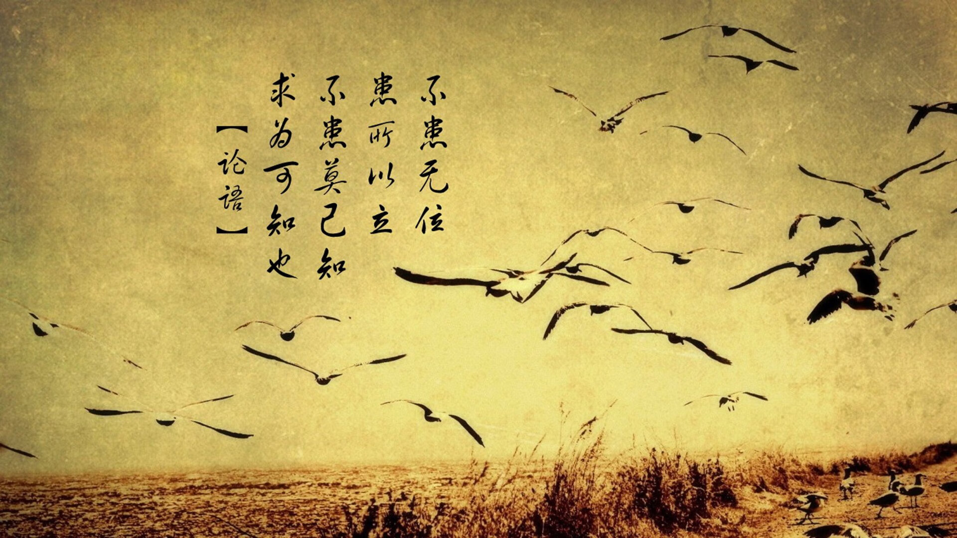 雷霆淘汰赛过关鹈鹕，布伦森关键时刻显神威