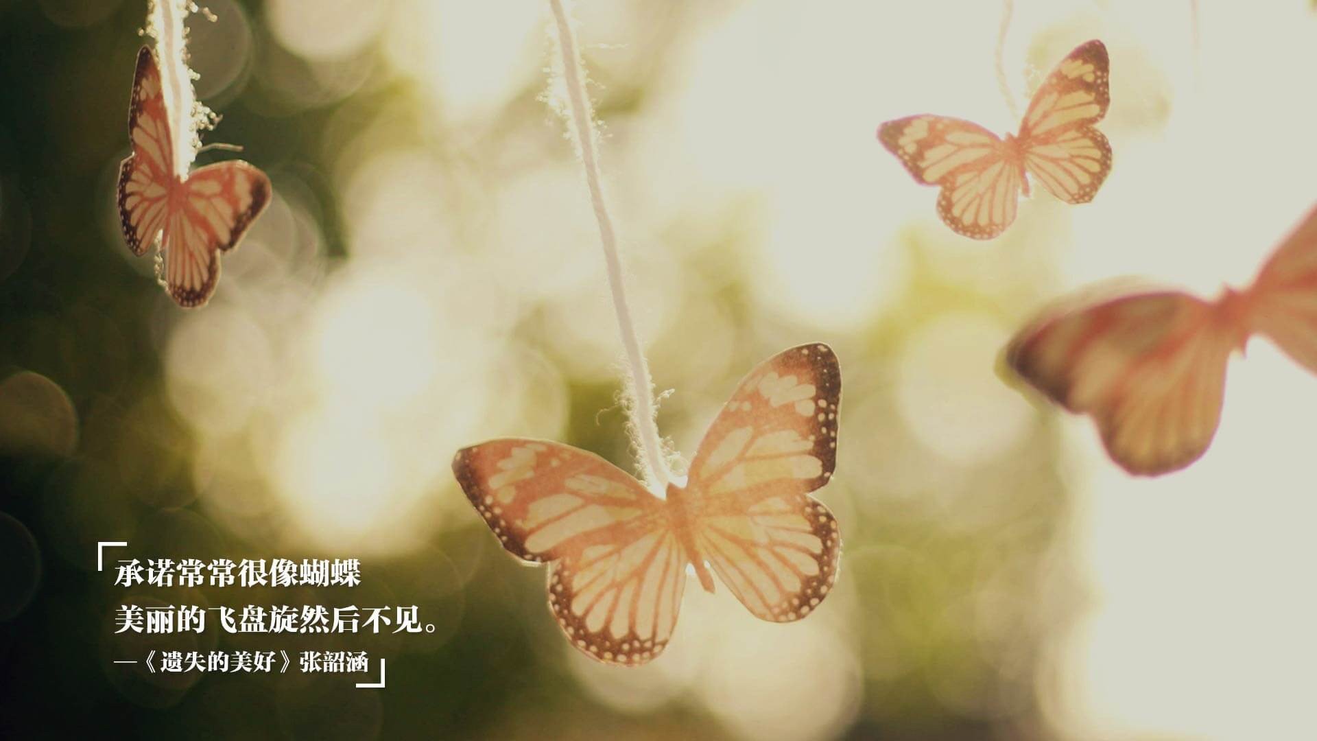 开云平台-体系与个体的双重奏，当那不勒斯的洪流遇见赖斯的孤峰