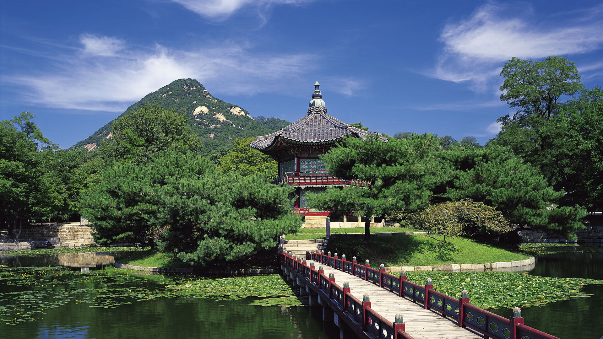 开云体育平台APP-格纳布里节奏大师显威，贝蒂斯惊险力克摩纳哥