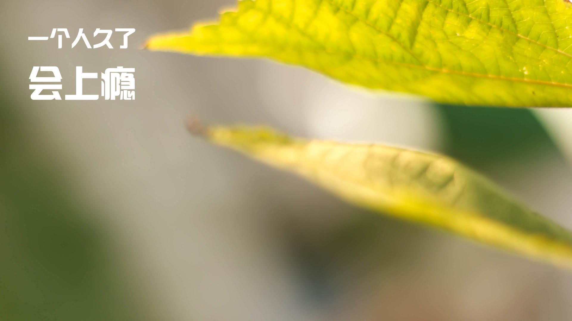 开云APP-第二赛道，当哈兰德在足球场上进行F1式超车