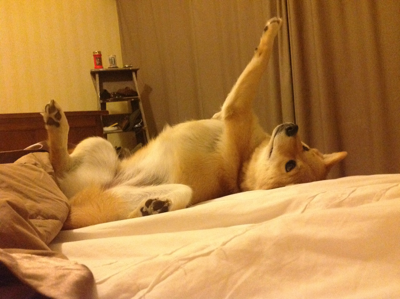 开云体育在线-极速引擎与末节心脏，双线叙事中的竞技之夜