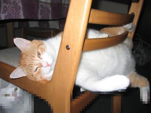 开云APP-铁血之盾与南美利矛，马德里竞技友谊赛力克巴拉圭国家队，新星布鲁诺上演压制级中场大师秀