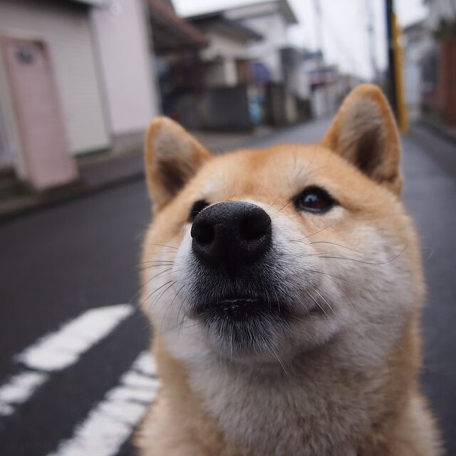 开云体育官方网站-浓眉持续制造杀伤，猛龙一波带走骑士，东部格局的微妙转折