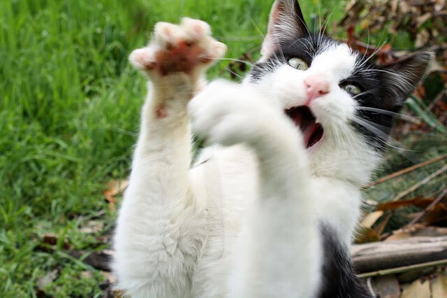 末节风云，西甲国家德比与国王逆转马刺的焦点战启示