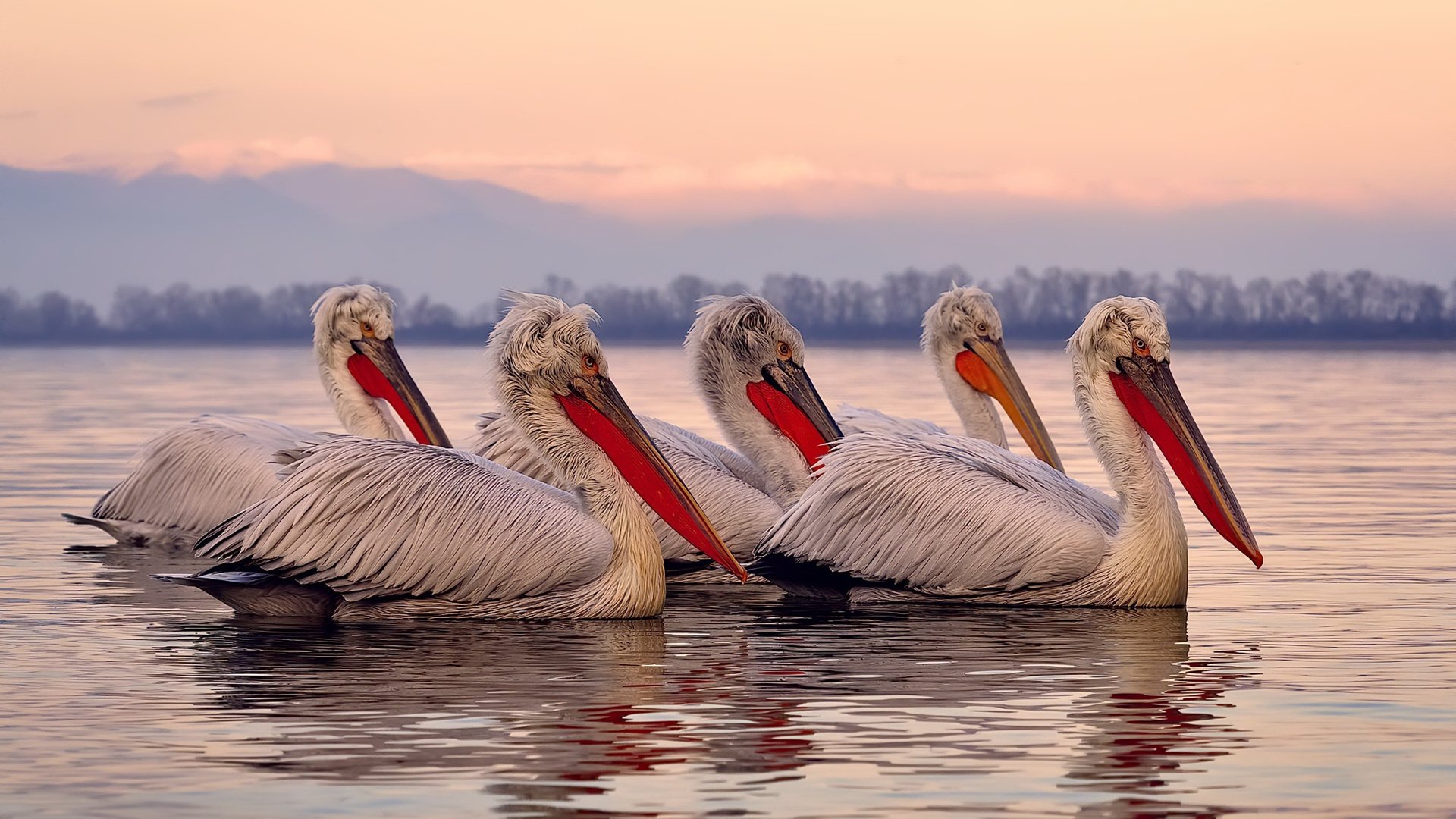 双星纪元—当利拉德踏碎雷霆之夜，骑士的铁蹄已踏过东部尸骸